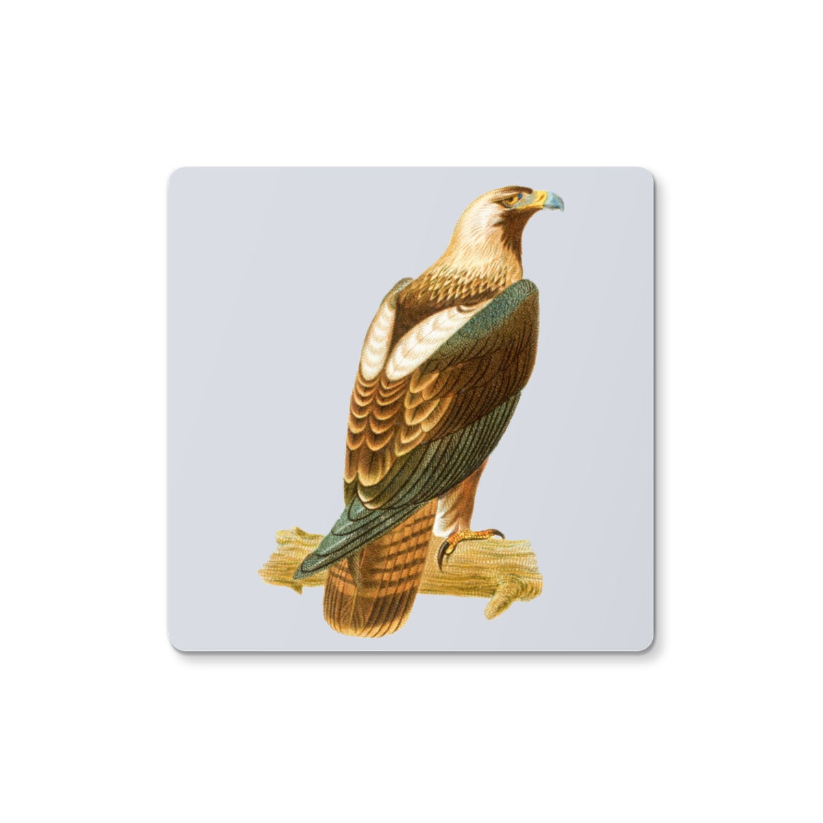 Bird-01 | Coaster