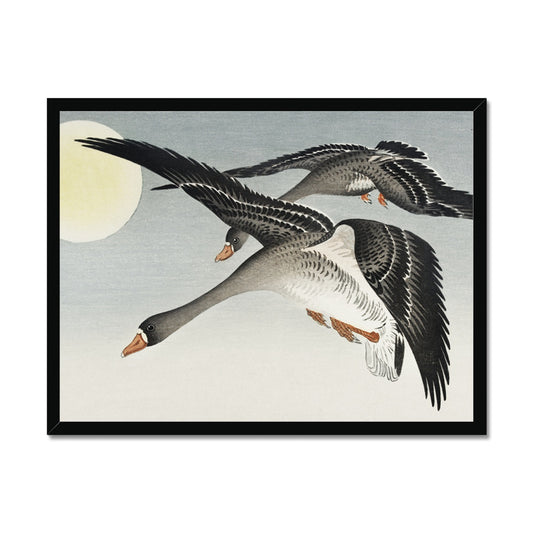 Birds at Full Moon - Ohara Koson | Framed Print