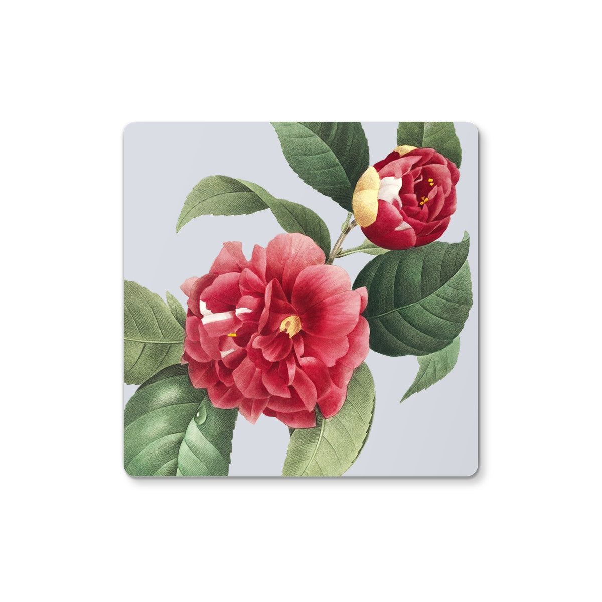 belles_fleurs Coaster