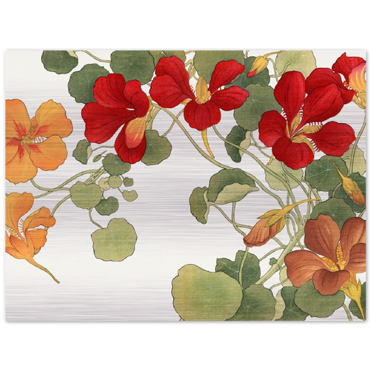 Nasturtium Flower | Brushed Aluminum Print